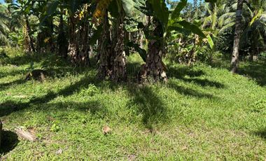 Interior Residential Lot for Sale ID 14943