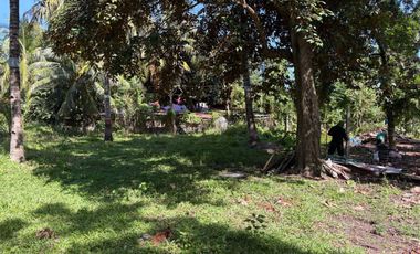 Interior Residential Lot for Sale ID 14943