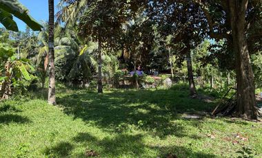 Interior Residential Lot for Sale ID 14943