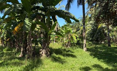 Interior Residential Lot for Sale ID 14943