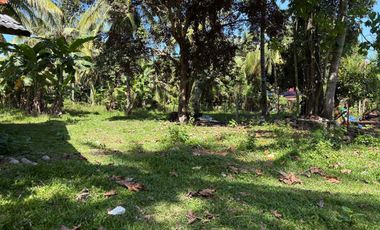 Interior Residential Lot for Sale ID 14943