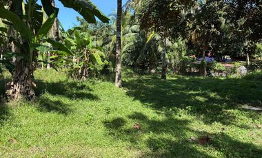 Interior Residential Lot for Sale ID 14943