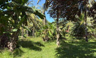 Interior Residential Lot for Sale ID 14943