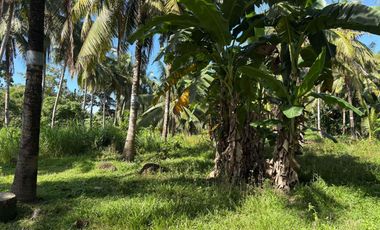 Interior Residential Lot for Sale ID 14943