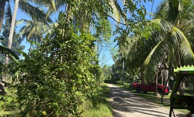 Interior Residential Lot for Sale ID 14943