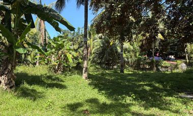 Interior Residential Lot for Sale ID 14943