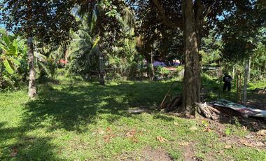 Interior Residential Lot for Sale ID 14943