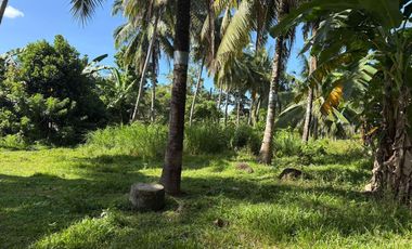 Interior Residential Lot for Sale ID 14943