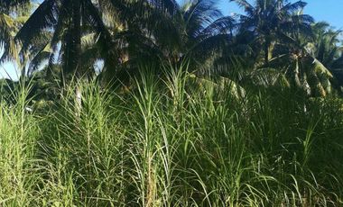 Interior Residential Lot for Sale ID 14943