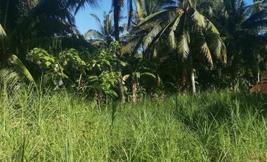 Interior Residential Lot for Sale ID 14943