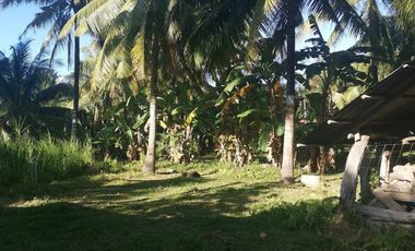 Interior Residential Lot for Sale ID 14943