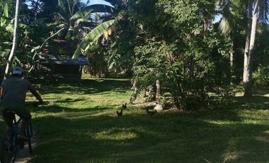 Interior Residential Lot for Sale ID 14943