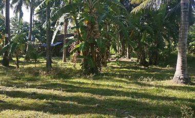 Interior Residential Lot for Sale ID 14943