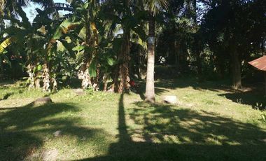 Interior Residential Lot for Sale ID 14943