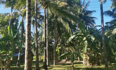 Interior Residential Lot for Sale ID 14943