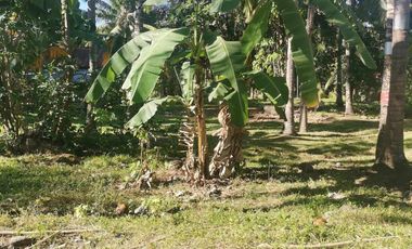 Interior Residential Lot for Sale ID 14943