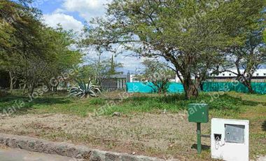 TERRENO EN EL INGENIO, URBANIZACIÓN JUNTO A ARRAYANES-PUEMBO