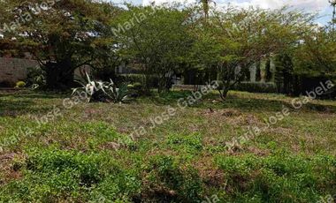 TERRENO EN EL INGENIO, URBANIZACIÓN JUNTO A ARRAYANES-PUEMBO