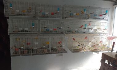 Hermosa casa en venta en Jardines de Santa Mónica