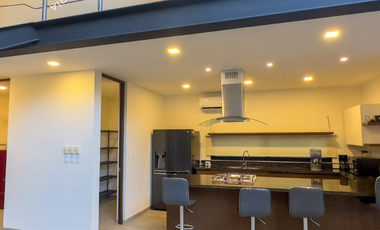 CASA EN VENTA O RENTA DE 3 RECAMARAS, 5 BAÑOS, ALBERCA