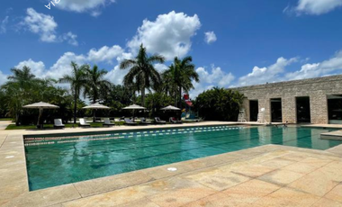CASA EN VENTA O RENTA DE 3 RECAMARAS, 5 BAÑOS, ALBERCA
