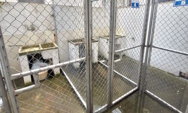 Dpto. 3 Dormit. 182 M2  Urb. Jardines del Batán