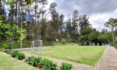 Dpto. 3 Dormit. 182 M2  Urb. Jardines del Batán