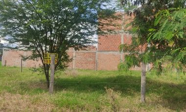 LOTE EN PALMASECA
