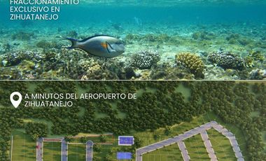 PREVENTA 