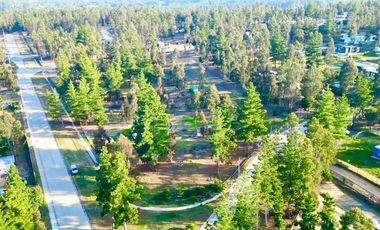 Oportunidad Terreno / Condominio Privado Algarrobo