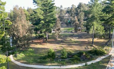 Oportunidad Terreno / Condominio Privado Algarrobo