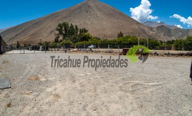 Venta de terreno  5.000 m2, orilla de rio y carretera, a 8 minutos de Vicuña. $110 millones