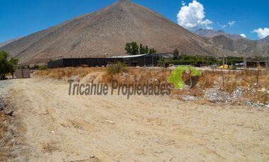Venta de terreno  5.000 m2, orilla de rio y carretera, a 8 minutos de Vicuña. $110 millones