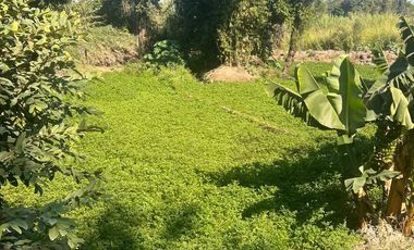 ATENCION INVERSIONISTAS Y  DESARROLLADORES VENDO MAGNÍFICO TERRENO EN CUAUTLA, MOR.