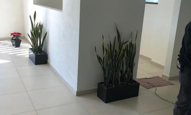 OFICINAS NUEVAS EN RENTA  METEPEC