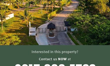 Rockwell Lots in Mataasnakahoy, Lauan Ridges | 249-653 sqm more or less | 112,000/mo