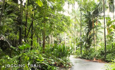 Rockwell Lots in Mataasnakahoy, Lauan Ridges | 249-653 sqm more or less | 112,000/mo
