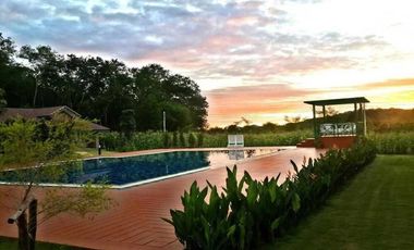 SAVE 30 MILLION BAHT! Golden Investment Opportunity: Luxury Art-Inspired Resort in the Heart of Khao Yai [ Palazzo Pavone Gallery & Resort ]