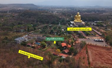 SAVE 30 MILLION BAHT! Golden Investment Opportunity: Luxury Art-Inspired Resort in the Heart of Khao Yai [ Palazzo Pavone Gallery & Resort ]
