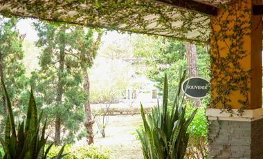 SAVE 30 MILLION BAHT! Golden Investment Opportunity: Luxury Art-Inspired Resort in the Heart of Khao Yai [ Palazzo Pavone Gallery & Resort ]