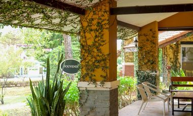 SAVE 30 MILLION BAHT! Golden Investment Opportunity: Luxury Art-Inspired Resort in the Heart of Khao Yai [ Palazzo Pavone Gallery & Resort ]
