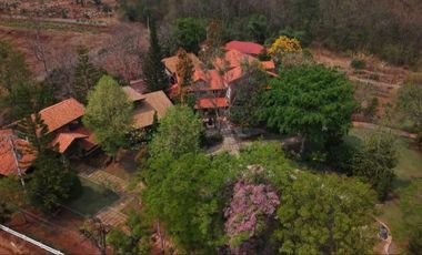 SAVE 30 MILLION BAHT! Golden Investment Opportunity: Luxury Art-Inspired Resort in the Heart of Khao Yai [ Palazzo Pavone Gallery & Resort ]