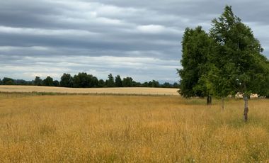 Campo indígena en Purranque con impactante vista, Alto Palomar - Región de Los Lagos