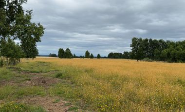 Campo indígena en Purranque con impactante vista, Alto Palomar - Región de Los Lagos