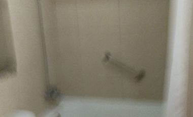 Se arrienda lindo departamento de 1 dormitorio en Santiago Carmen 110