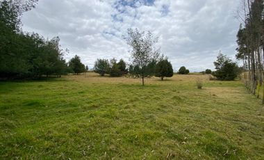 SE VENDE FINCA EN CHIVATA VEREDA PORTEZUELAS