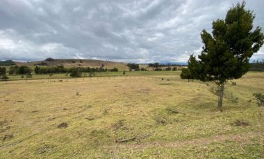 SE VENDE FINCA EN CHIVATA VEREDA PORTEZUELAS