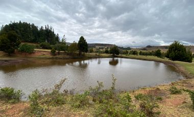 SE VENDE FINCA EN CHIVATA VEREDA PORTEZUELAS