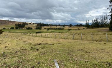 SE VENDE FINCA EN CHIVATA VEREDA PORTEZUELAS