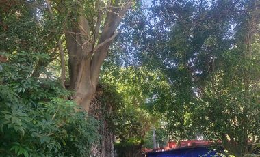 Casa en venta  en Tepoztlán Morelos